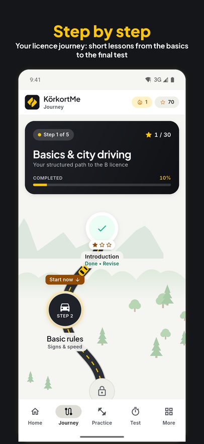 The licence journey, lesson by lesson